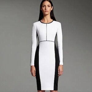 Narciso Rodriguez Color Block Long Sleeve Knee Length Pencil Sheath Dress Size S